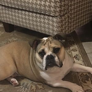 Meet your Posher, Diane